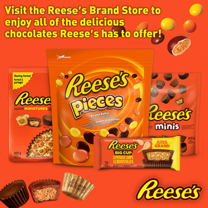 Reese's Chocolate Candy Peanut Butter Cups Minis Family Pouch, 400g/14.1oz (Shipped from Canada)