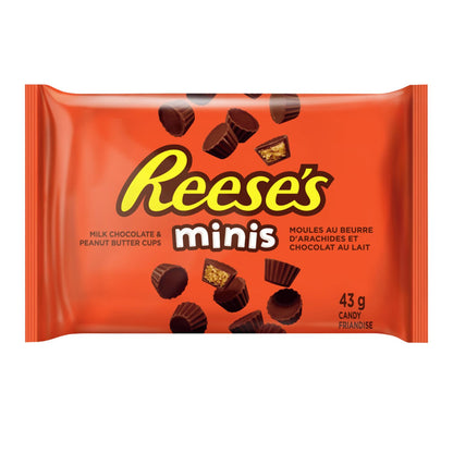 REE SES Peanut Butter Cups Minis, Bite-Sized Milk Chocolate and Peanut Butter Candies, 24x43g/1.5 oz (Includes Ice Pack) Shipped from Canada