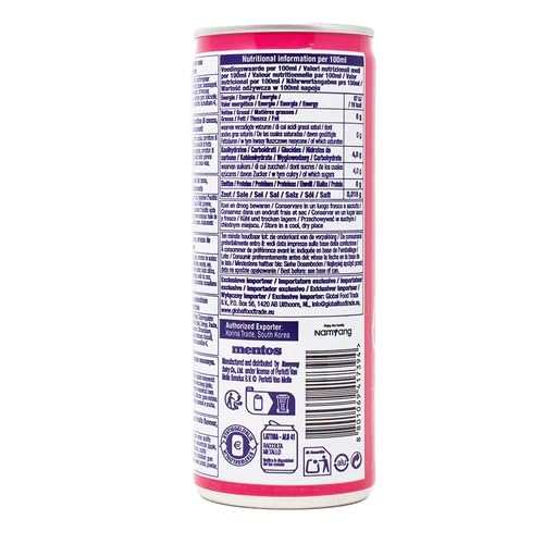 Mentos Non-Sparkling Drink Fruity Mix, 2 x 240ml/8.12 fl. oz (Shipped from Canada)