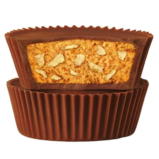 Reese's Big Cup with Potato Chips PEANUT BUTTER CUPS King Size Candy, 73g/2.6 oz (Includes Ice Pack) Shipped from Canada